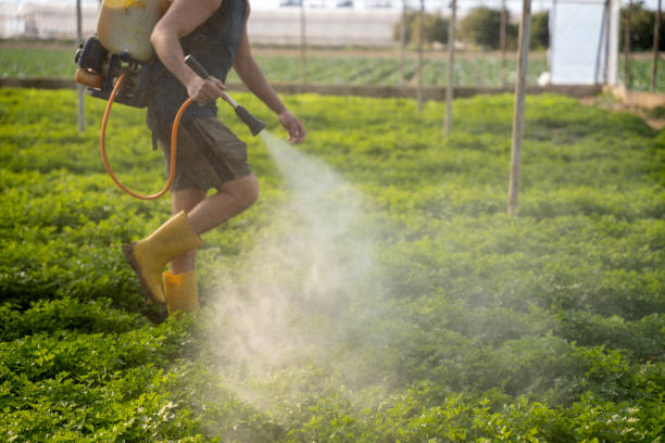 Best Ant Control Services  in State College, PA