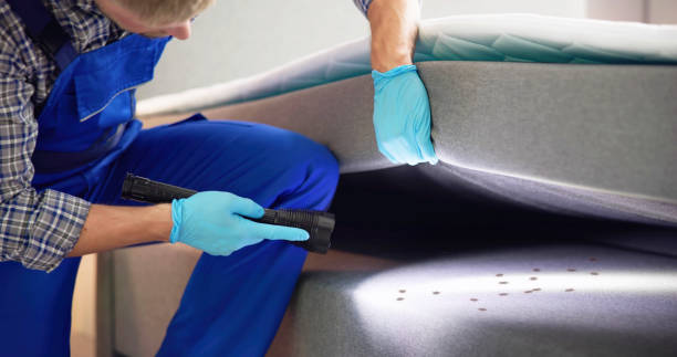 Best Flea Control Services  in State College, PA