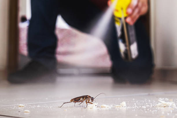 Professional Pest Control in State College, PA